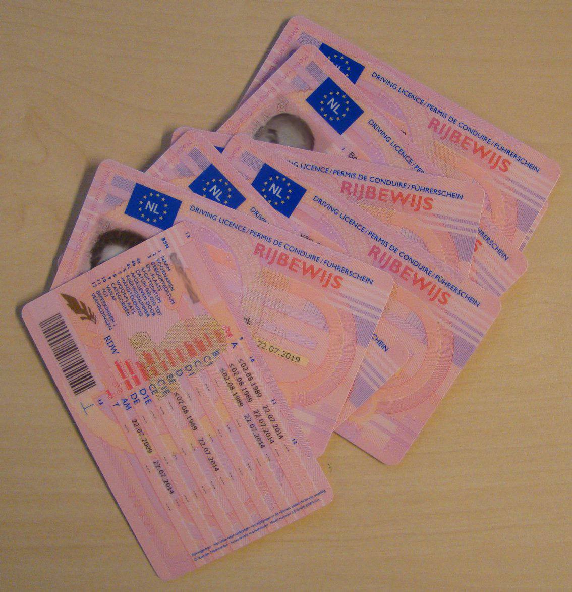 geregistreerdrijbewijskopennederland.com