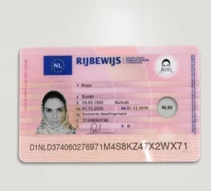 https://www.alleudocuments.com/buy-a-drivers-license/